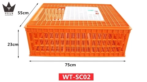 75x55x23cm Wholesale Poultry Chicken quail dove Equipment Plastic transport cage For Broiler Farm