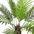 Import 90cm palm tree in pot from China