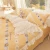 Import AB Version Printed Bedding Set Duvet Cover 100% Cotton Bad Sheet Cotton Bedding Set With Lace from China