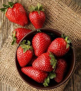 ADORABLE SUPER Fresh Strawberry, Frozen Strawberry, Berries Fresh Berries Fruits from South Africa