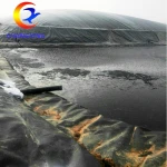 Affordable UV Resistant High Tensile Strength Plastic Welders Extrusion Geomembrane