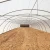Import agricultural single-span plastic tunnel film greenhouse from China