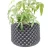 Import Air Pruning Pots Plant Growing Control Container Tree Air Prune Plant Root Fast Growth Container Pot from China