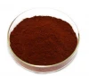 anti-infection Salvia powder Miltiorrhiza Extract