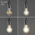 Import antique industrial led bulb incandescent light glass shade edison bulb lamp from China