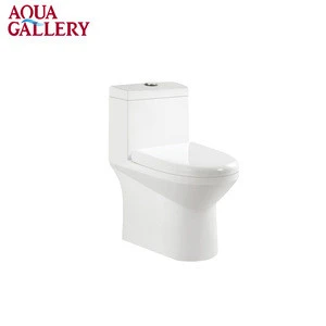 Aqua Gallery P-trap S-trap Ceramic Western Sitting Toilet Bowl