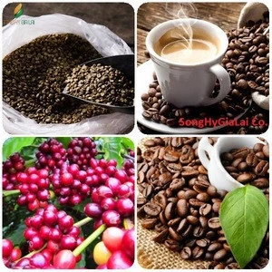 ARABICA COFFEE BEAN GRADE 1 VIETNAM ORIGIN