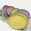 Assorted color 9 inch unbreakable microwave safe wheat straw dishes plates set for camping