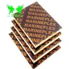 Best price Marine Plywood / Film Faced Plywood / Construction Materials