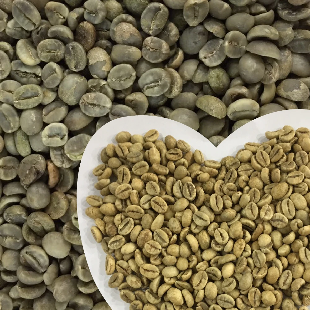 Best Price Vietnam  Green Coffee Bean (Robusta) in New Crop In 2020 From Hemera Coffee