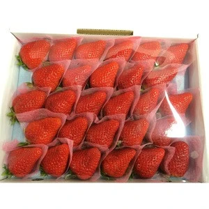 Best Selling Food Grade Fresh Fruit Product Strawberry with Good Price
