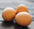 Import Broiler Hatching Eggs Cobb 500 and Ross 308 from Philippines