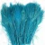 Import Bulk Sale Natural Long palsitic Red Peacock Feathers for Costume from China