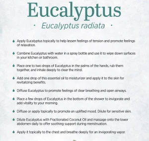 Bulk supply raw material multi-use 100% pure natural eucalyptus essential oil