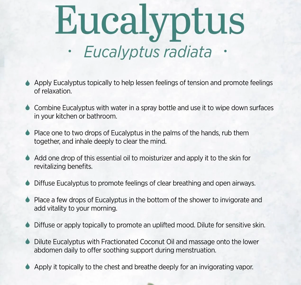 Bulk supply raw material multi-use 100% pure natural eucalyptus essential oil