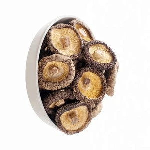 Bulk White Back Black Fungus Cut Dried Wood Ear Mushroom