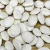 Import Bulk Wholesale Lima Beans Big size white kidney beans from South Africa