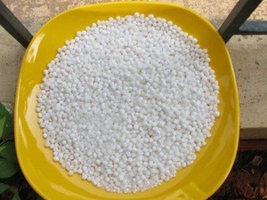 bulk wholesale tapioca sago pearl seeds bubble tea
