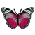 Import Butterfly Insect Boho Hippie Retro Love Peace Embroidered Applique Iron-on Patch New from China