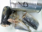 Canned Mackerel in brine