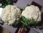 cauliflower