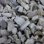 Champignon Frozen Oyster Mushroom