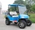 Import cheap China electric golf cart from China