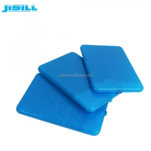 China Factory Free Sample Ice Pack Cooler for Frozen Food Box Packaging