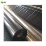 China factory hdpe bentonite geomembrane 4mm