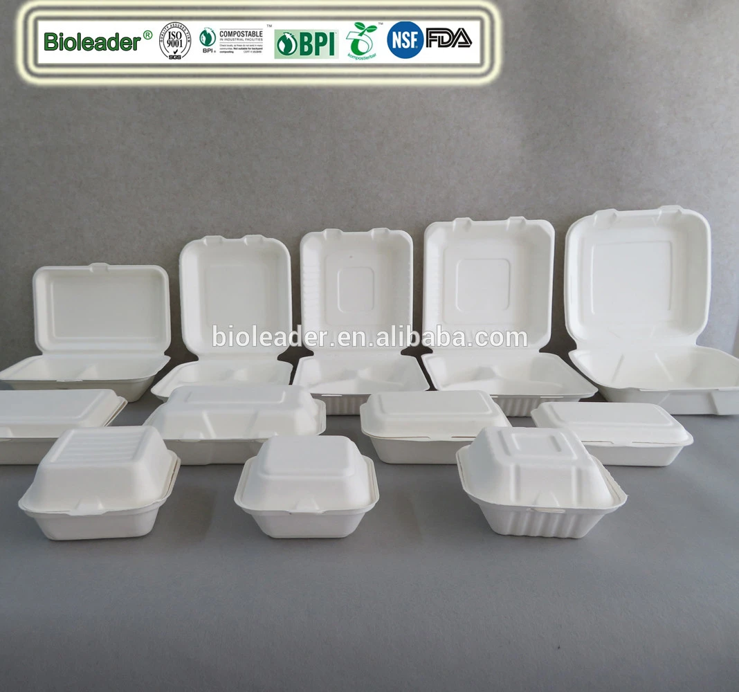 China Supplier Biodegradable Disposable Tableware
