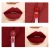 Import China supplier matte  lip gloss custom logo high pigment velvet  lip gloss from China