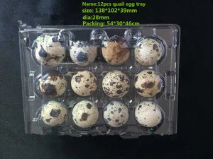 China Wholesale 6 egg trays 6 Egg clamshell 6 egg blister plastic PVC PET from stock