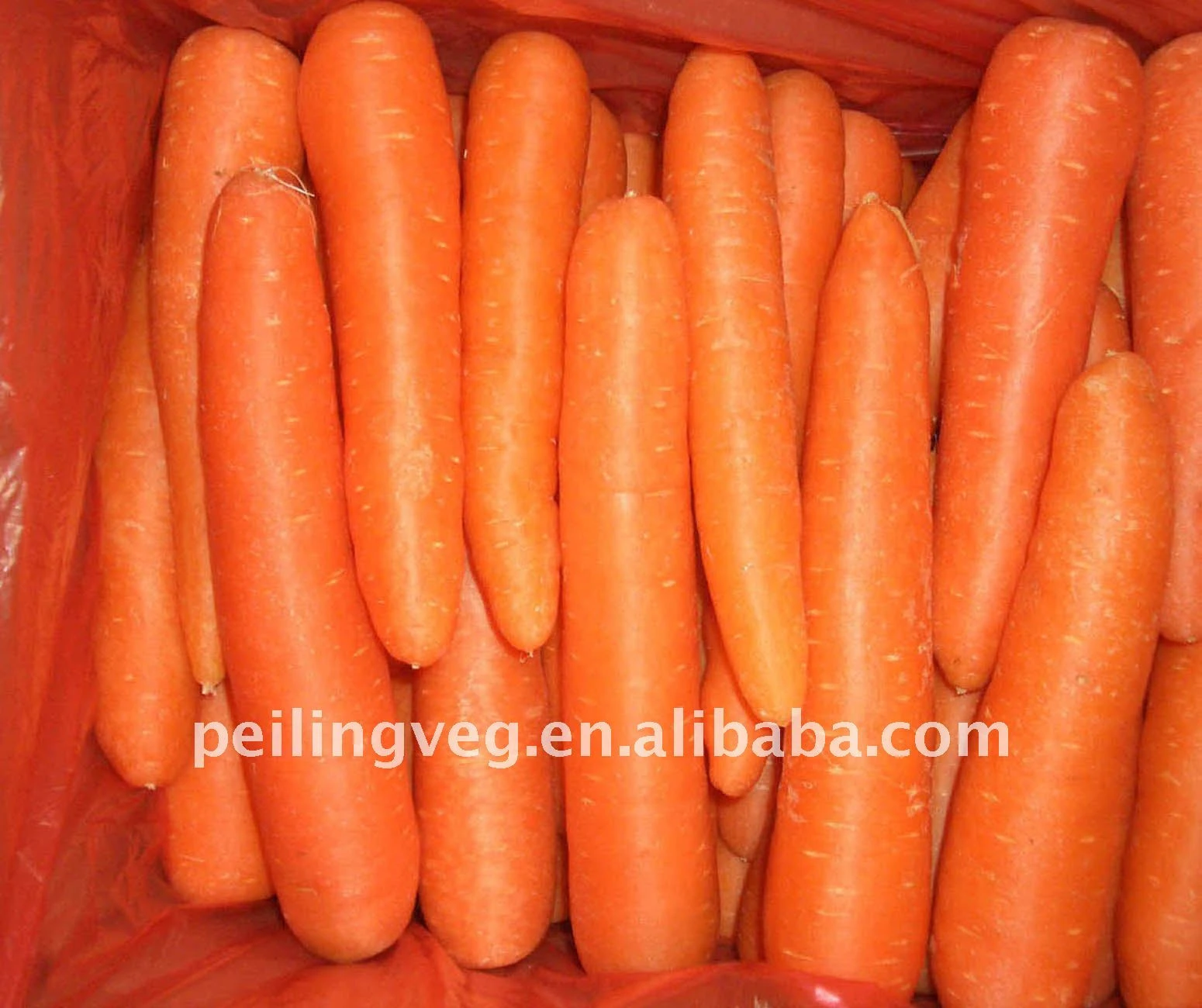 Chinese Fresh Baby Carrots supplier 80-150g