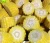 Import Chinese Grade A Bulk Super Sweet Corn Common Yellow Corn Maize from China