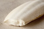 Cleaned Shaped and untrimmed cuttlefish bones for sale