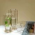 Import Clear Glass Mouth Blown Vase With Metal Stand / Hydroponic glass flower vase from China