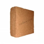 Coco Peat Importers in Malaysia