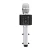 Colorful Home Family KTV  Microphone Wireless Professional Karaoke Mini USB Handheld Mini BT Microphone