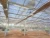 Import Complete multispan glass agricultural greenhouse turnkey project with quick construction from China