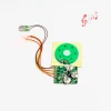 Custom function  plush toy recordable sound module