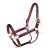 Import Custom head collar leather horse halter with solid brass buckles fittings from Pakistan