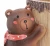 Import Cute Bear Animal Shape Resin Cactus Planter Pot Container Succulent Pots for Home Decor from China