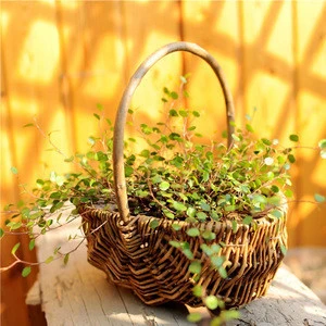 decorative hand-crafted wicker basket for sale