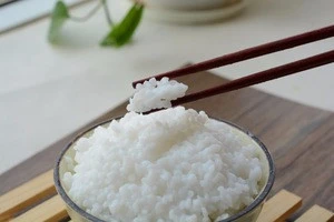 diabetic rice made from konjac root, shirataki rice from Chinese supplier
