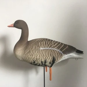 Different Postures of Specked belly Goose Decoys/Baits for Hunting