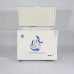 Double temperature BC storage fridge 12v dc refrigerator parts