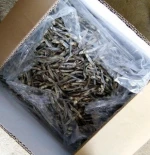Dried Anchovy - Dried Anchovy Seafood