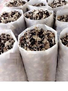 Dried Black and White Fungus High Quality