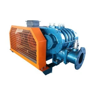DSR50V Roots Vacuum Blower Manufacturer for Biogas Suction and Discharge