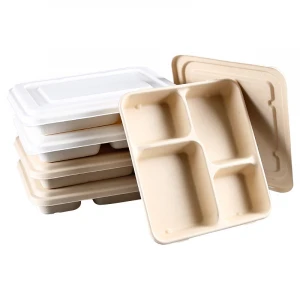 Eco-Friendly Plates 4 Compartment Lunch Food Containers White Disposable Serving Tray